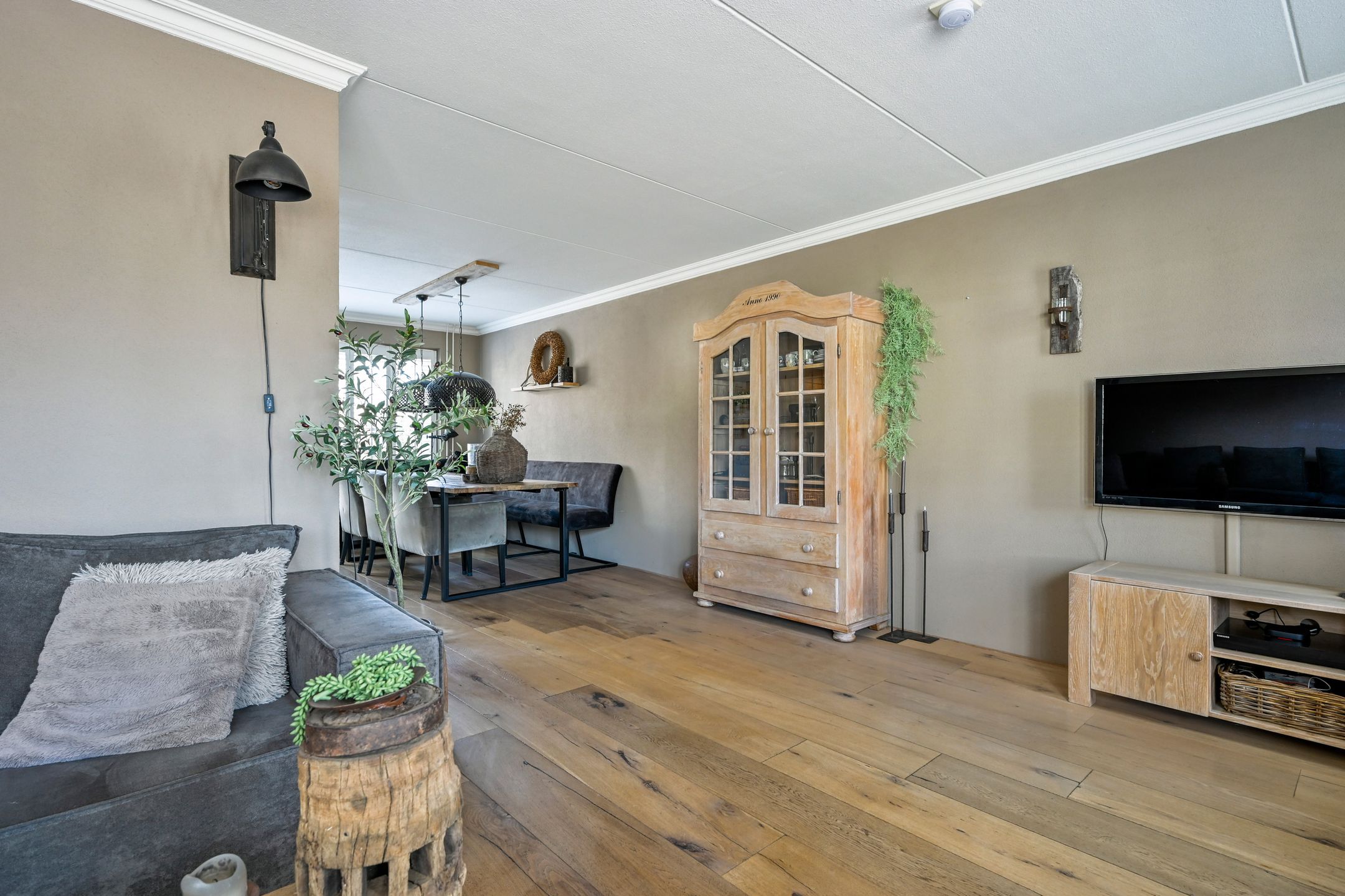 Foto 6 van Sierduif 37