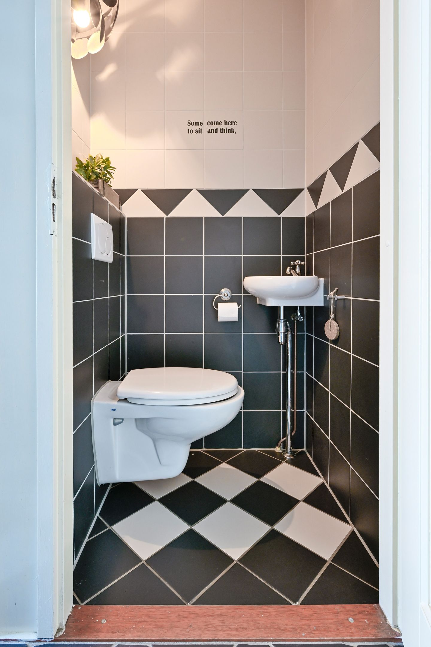 Foto 14 van Sierduif 37