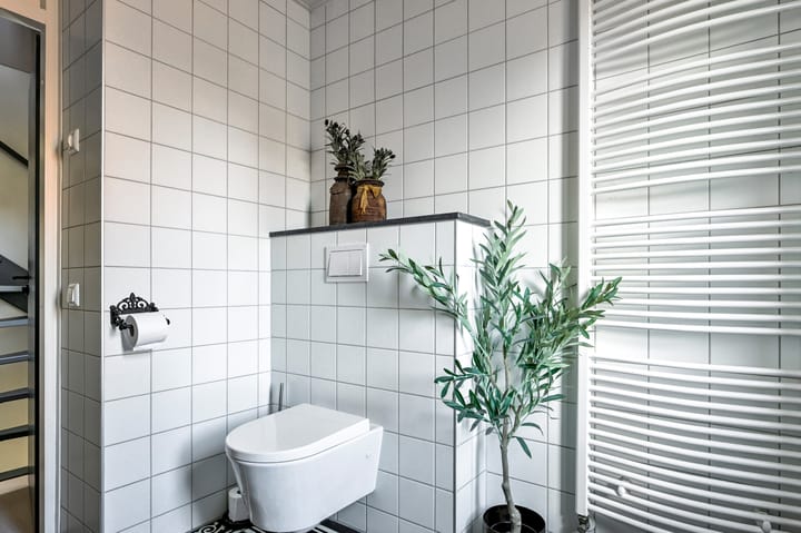 Foto 21 van Sierduif 37