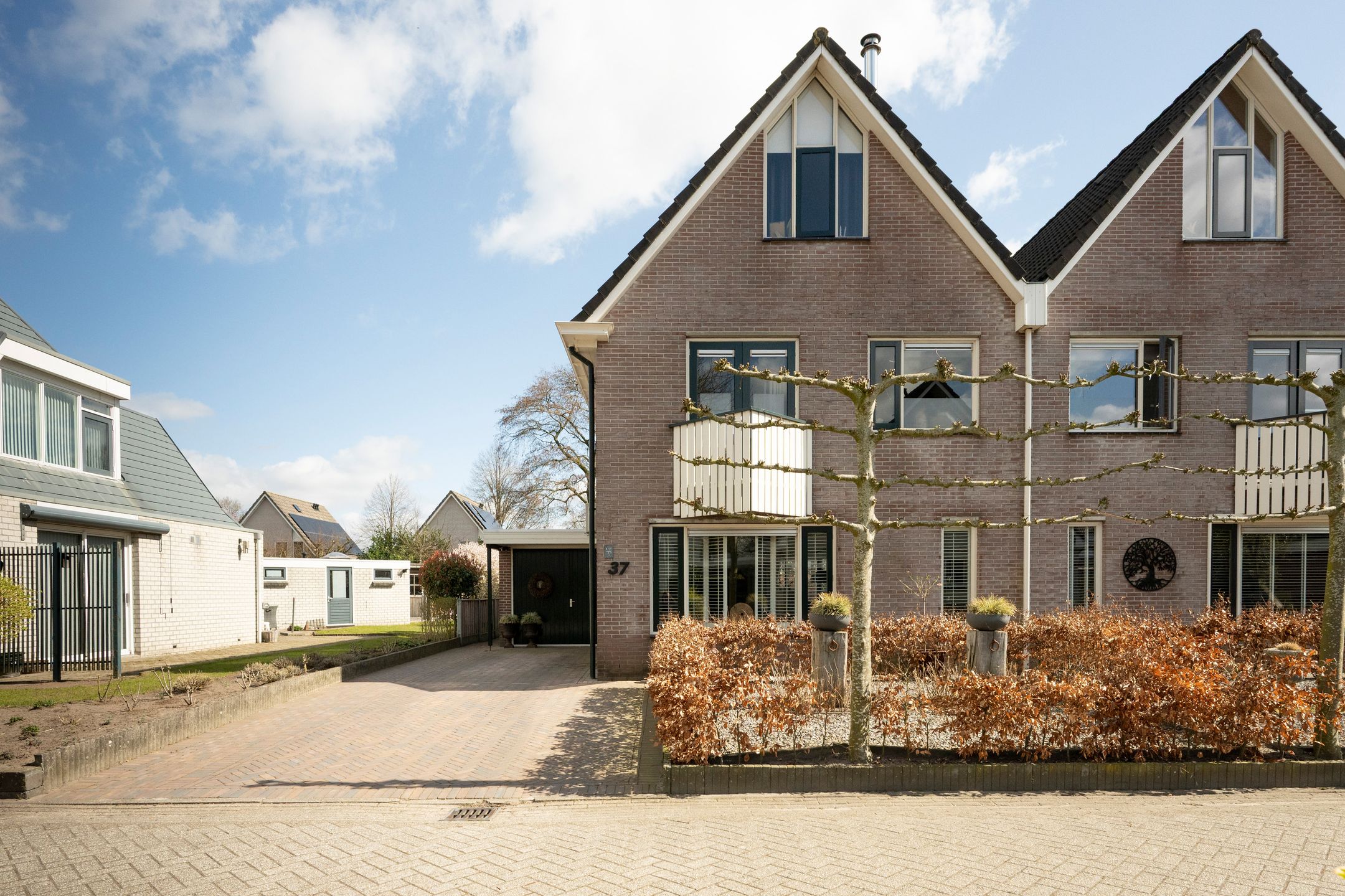 Foto 36 van Sierduif 37