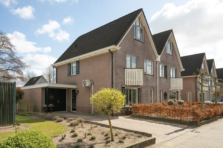 Foto 37 van Sierduif 37