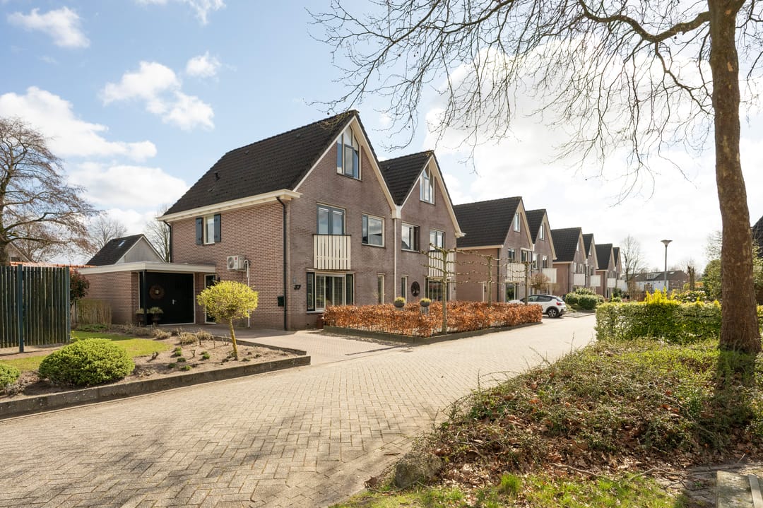 Foto 38 van Sierduif 37