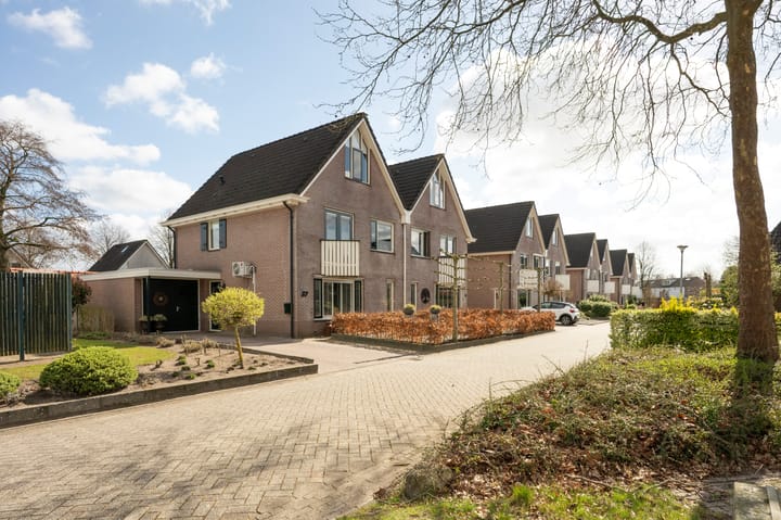 Foto 38 van Sierduif 37