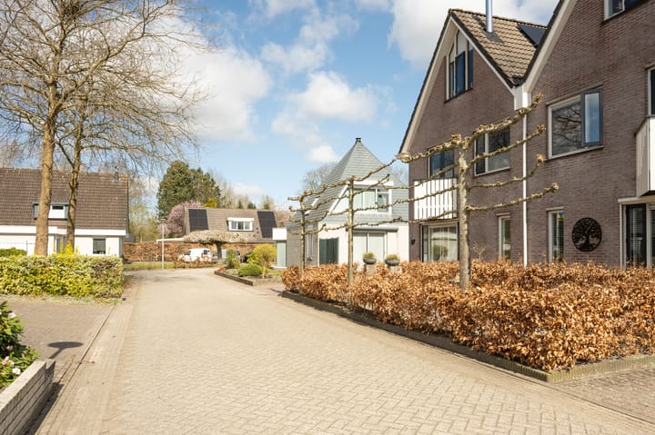 Foto 39 van Sierduif 37