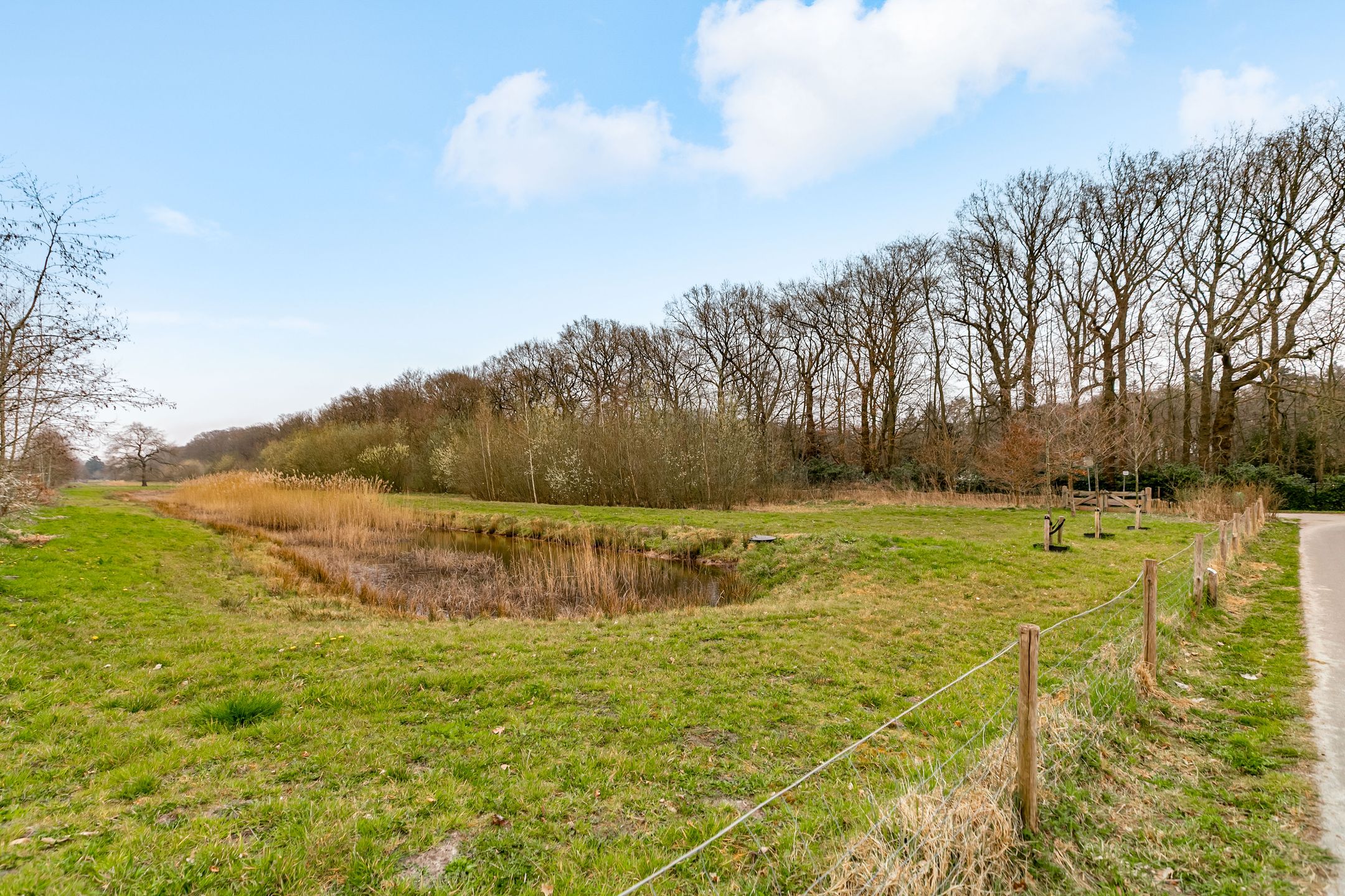 Foto 3 van Reelaan 26