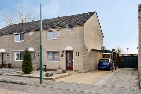 undefined main image