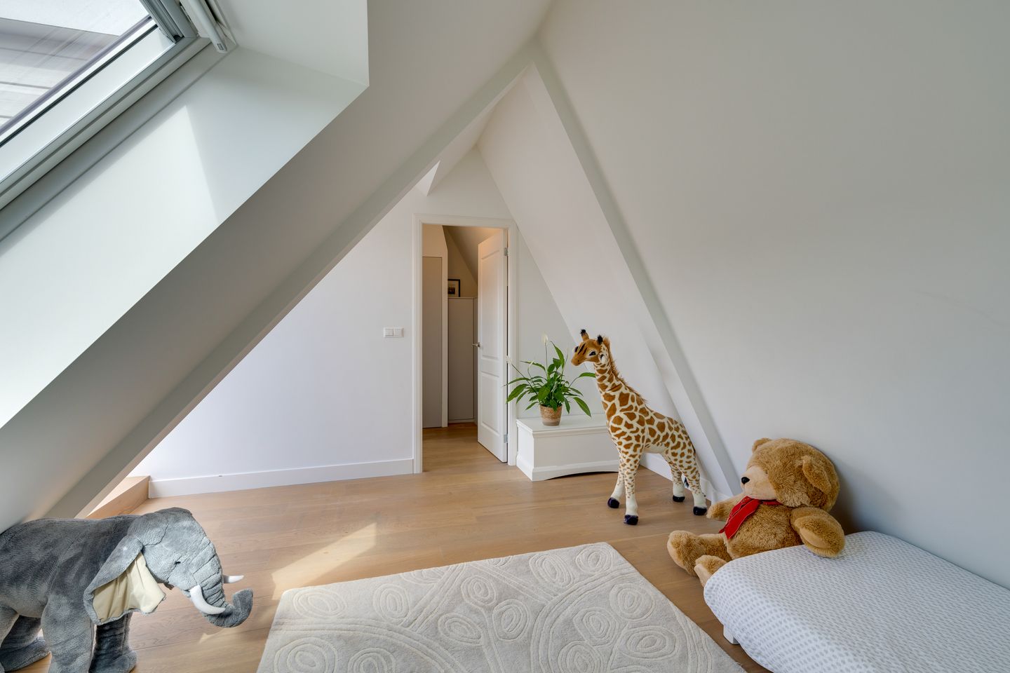 Foto 49 van Diezestraat 20-2