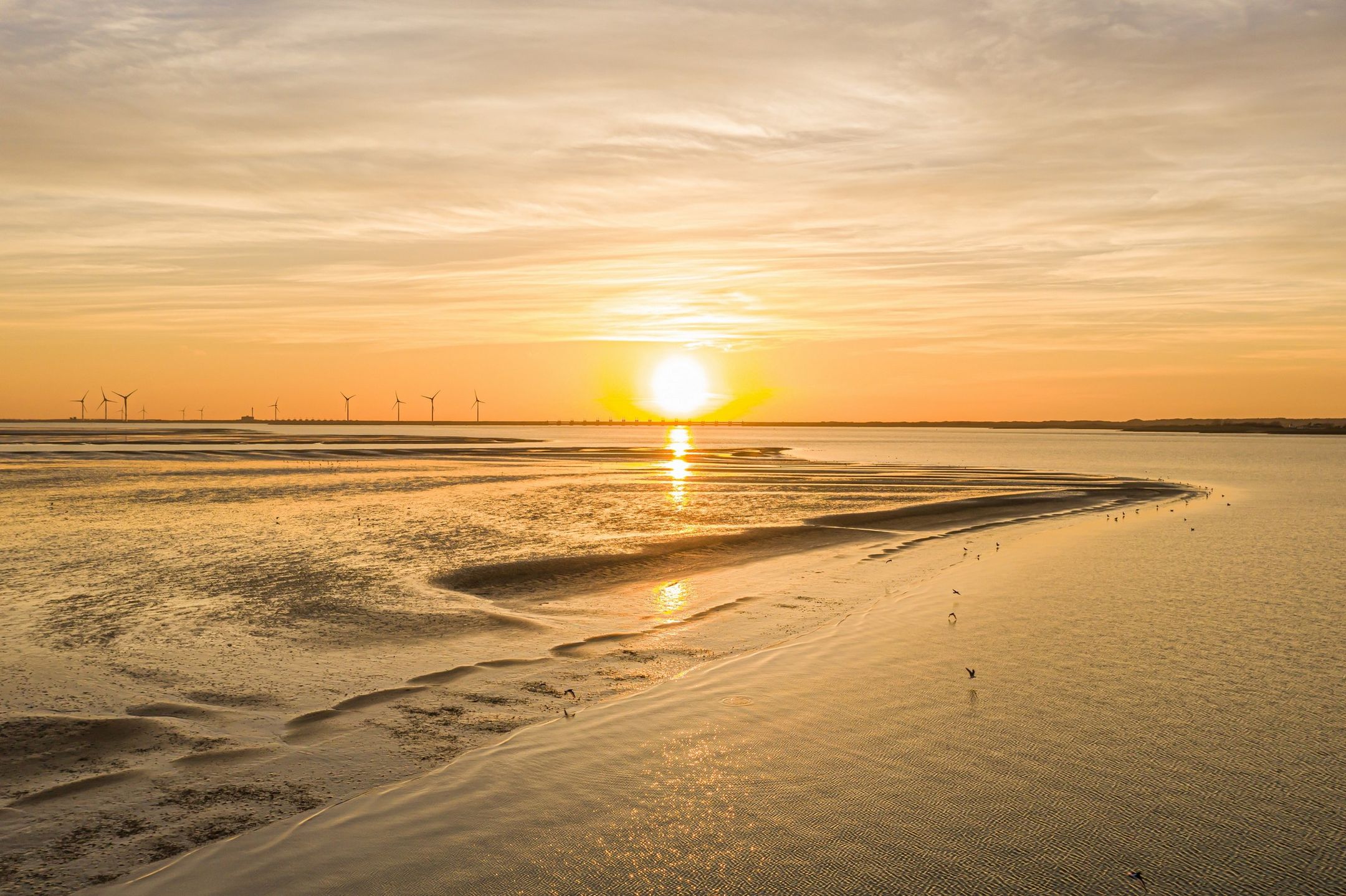 Foto 33 van Daleboutsweg 4-0102