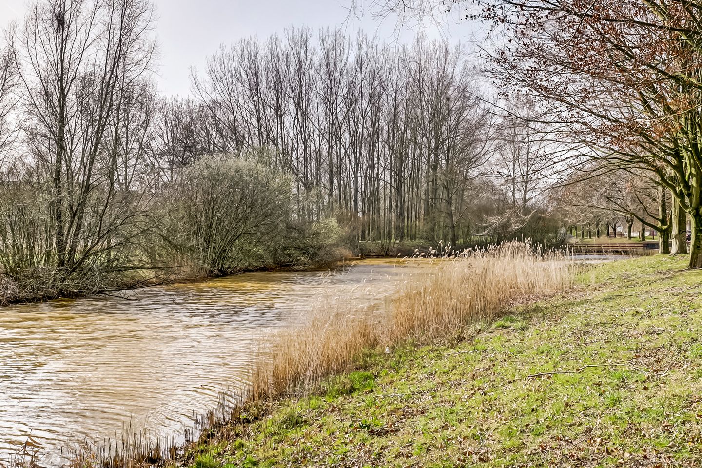 Foto 44 van Meindert Hobbemahage 33