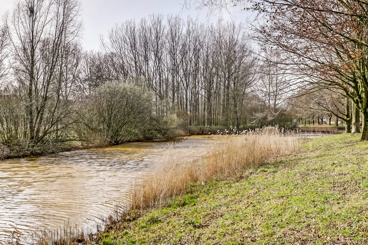 Foto 44 van Meindert Hobbemahage 33