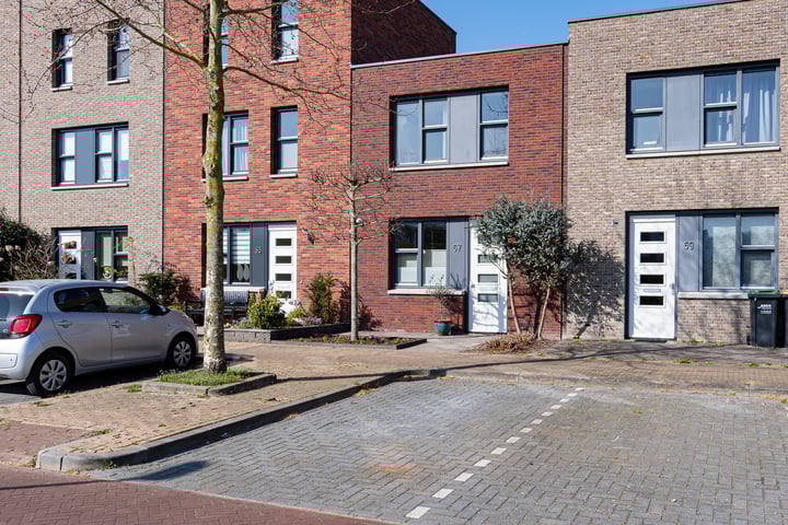 Bekijk foto van Koningspage 67