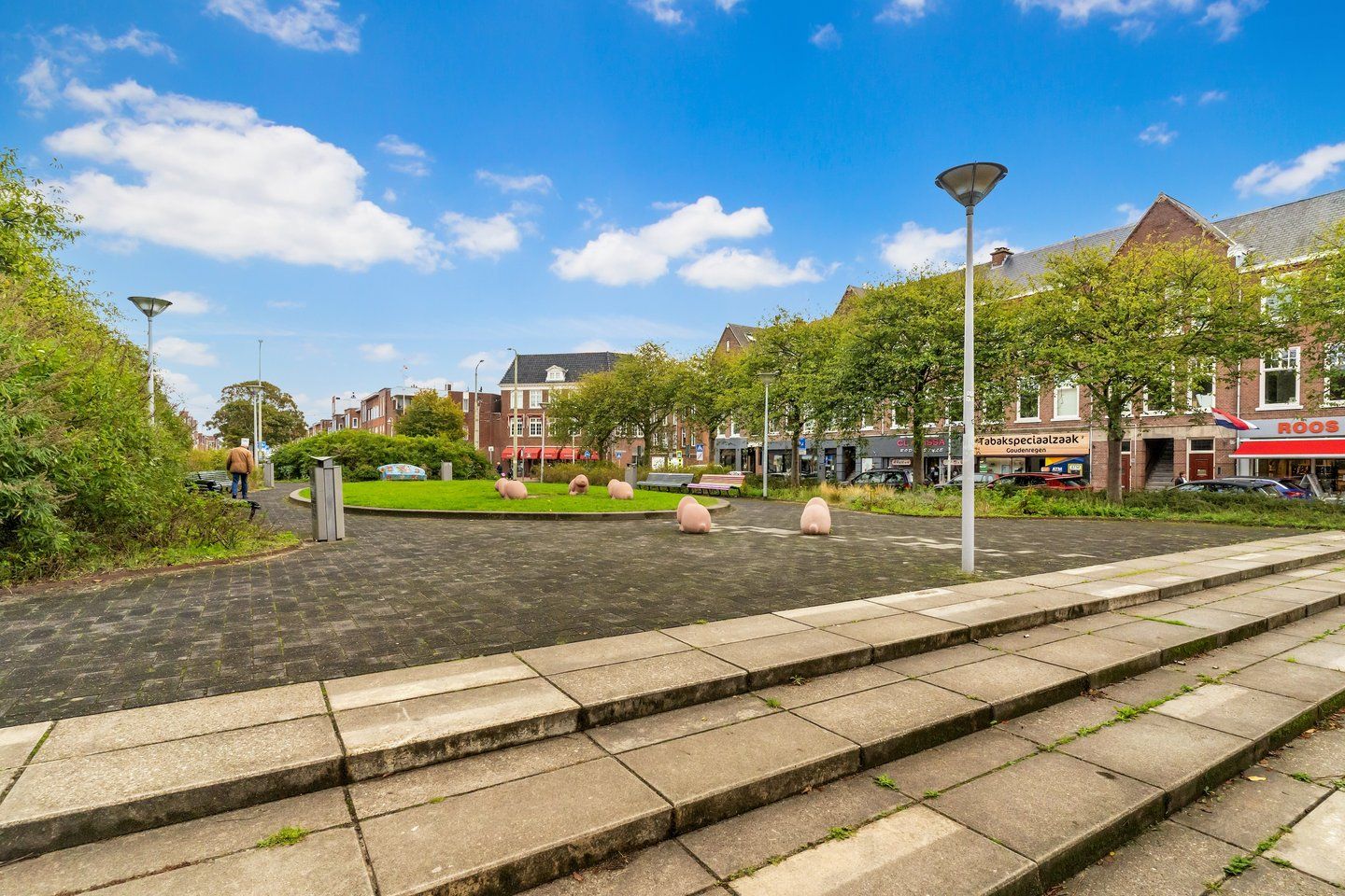 Photo 40 of Irisstraat 111