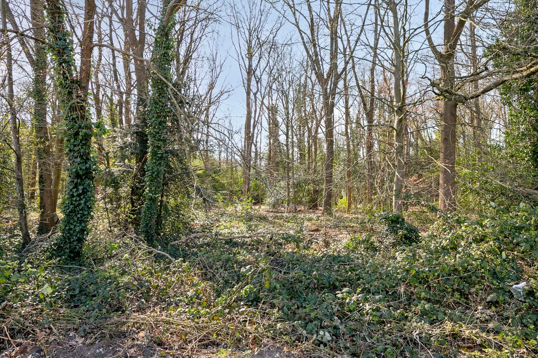 Foto 31 van Kapelweg 50