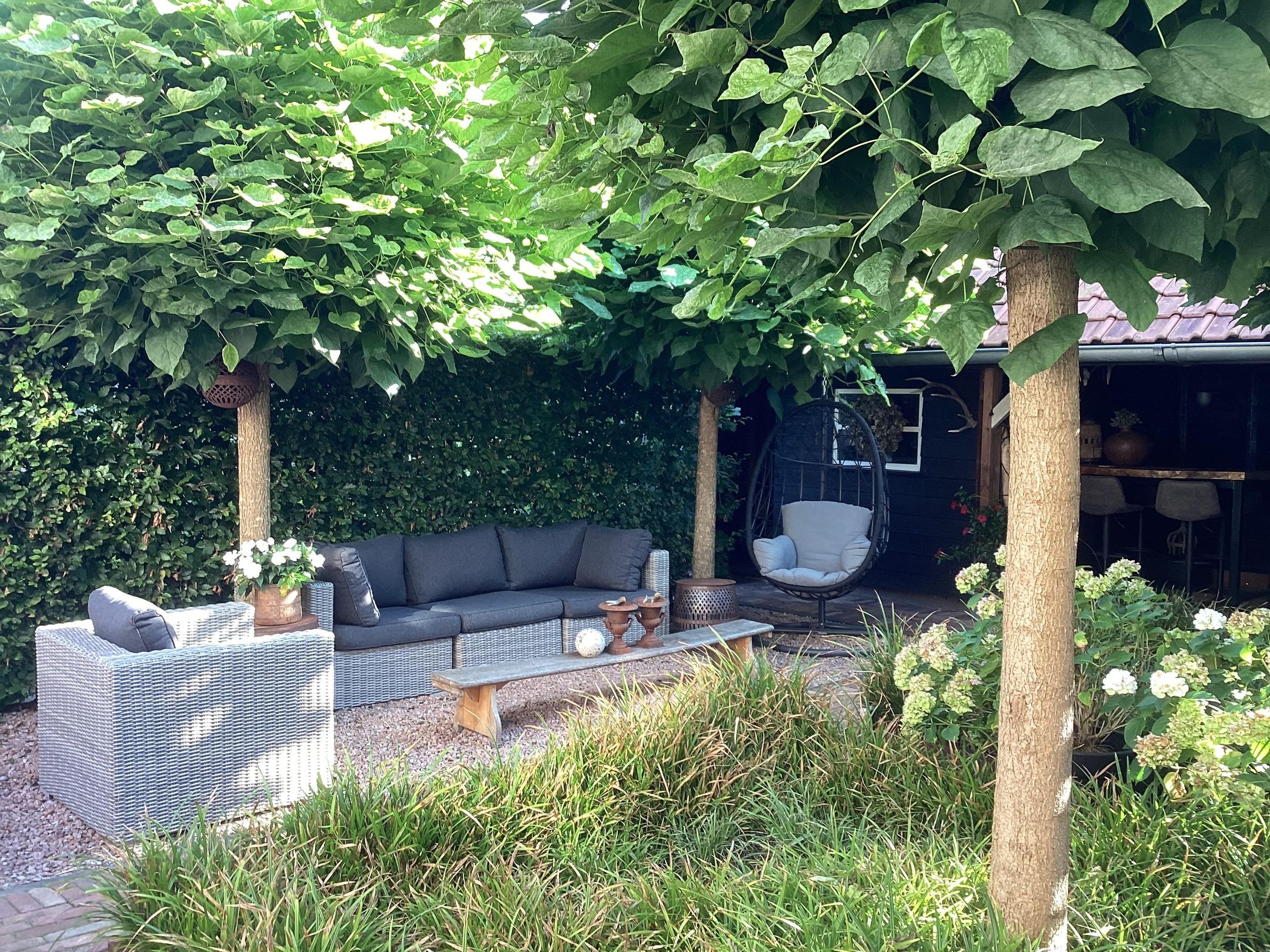 Foto 33 van Sierduif 37