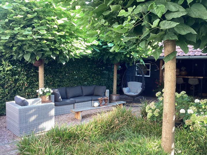 Foto 33 van Sierduif 37