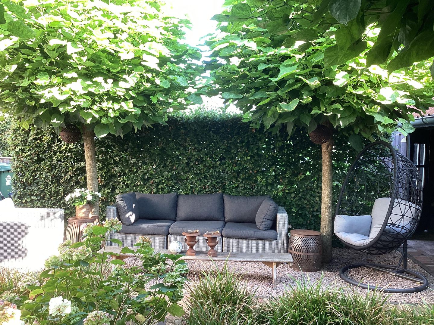 Foto 34 van Sierduif 37