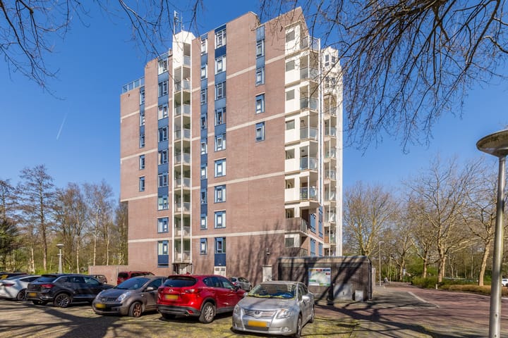 Foto 41 van Logger 224