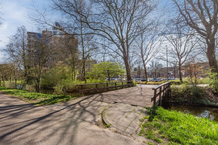 Foto 49 van Logger 224