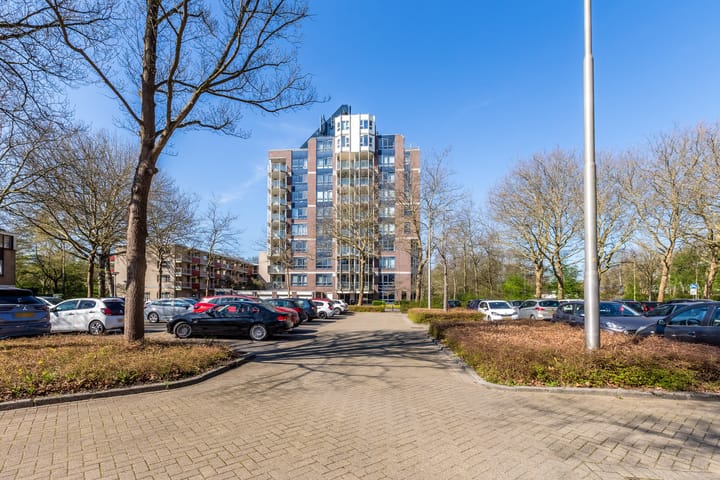 Foto 50 van Logger 224