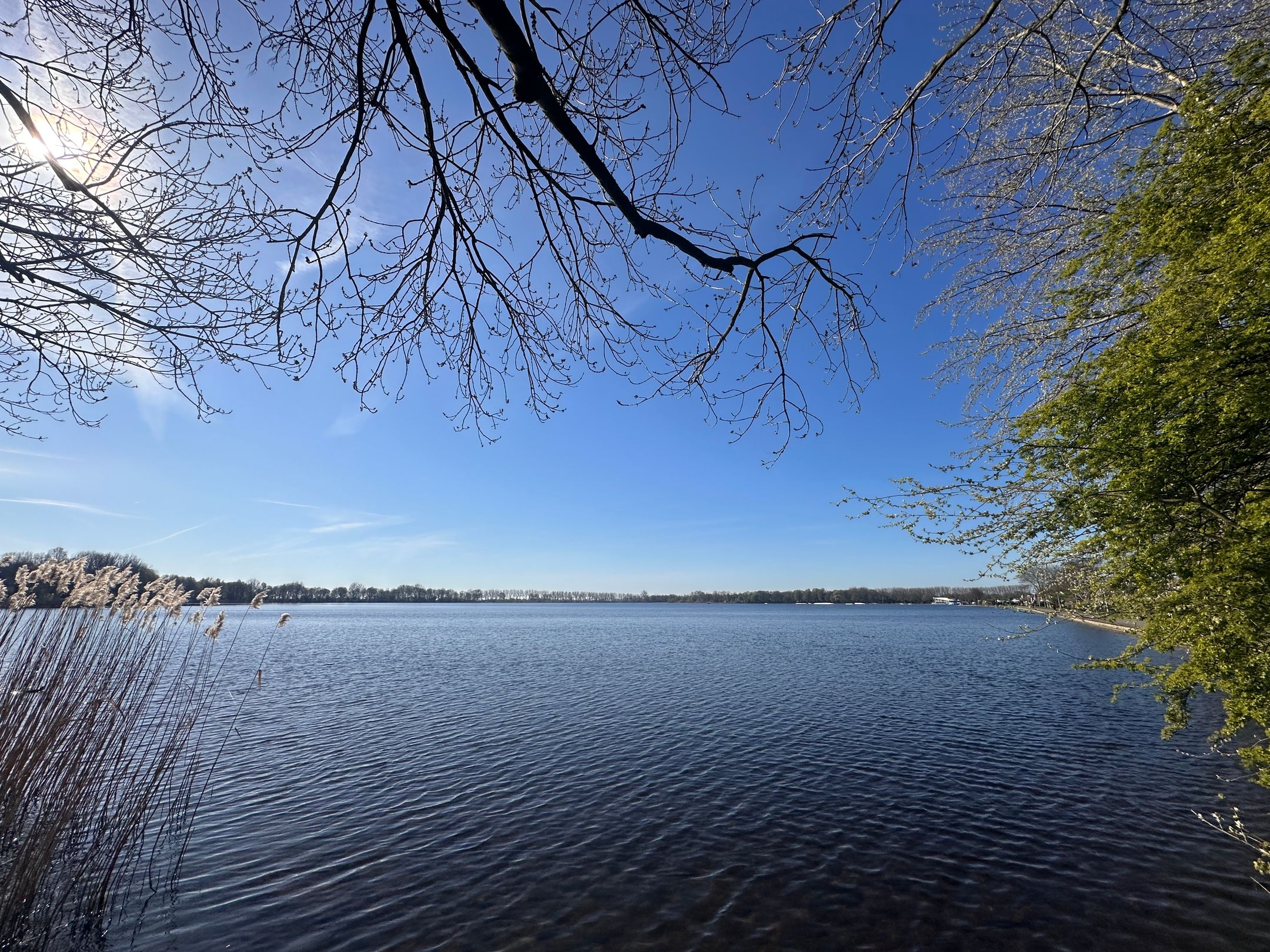 Foto 24 van Aquamarijn 115