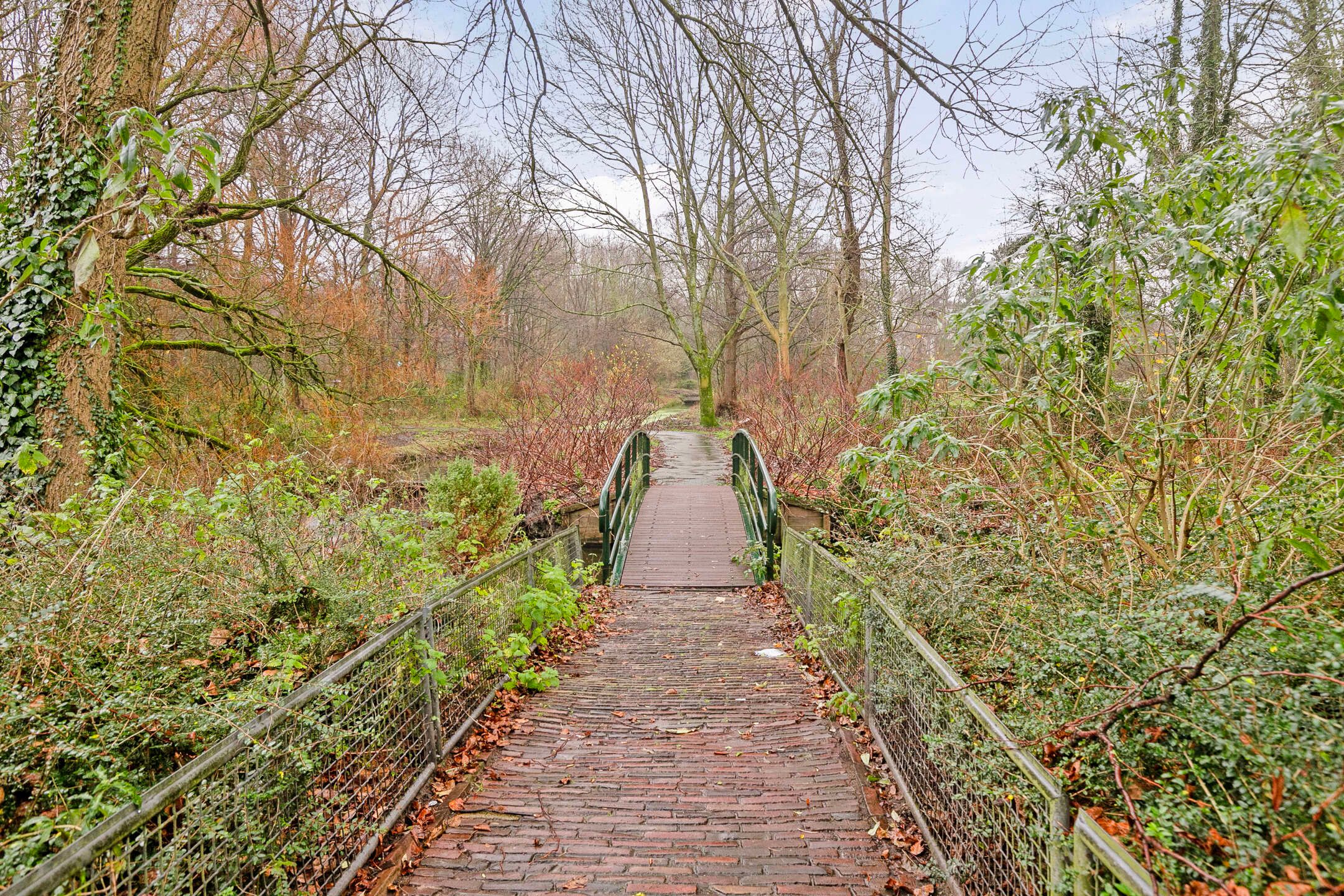 Foto 21 van Beetsstraat 331