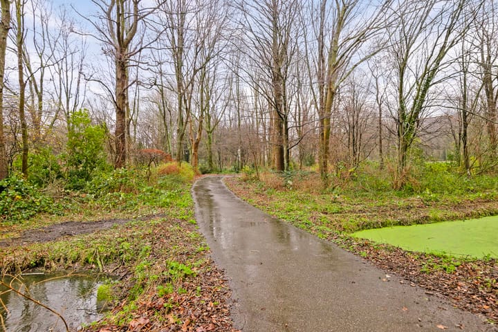 Foto 22 van Beetsstraat 331