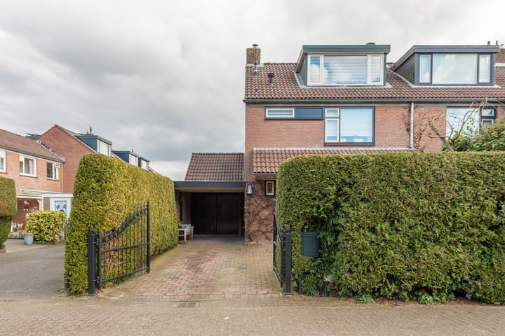 Foto 2 van Everserf 8