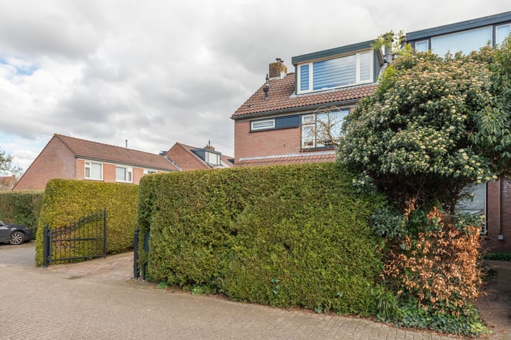 Foto 3 van Everserf 8