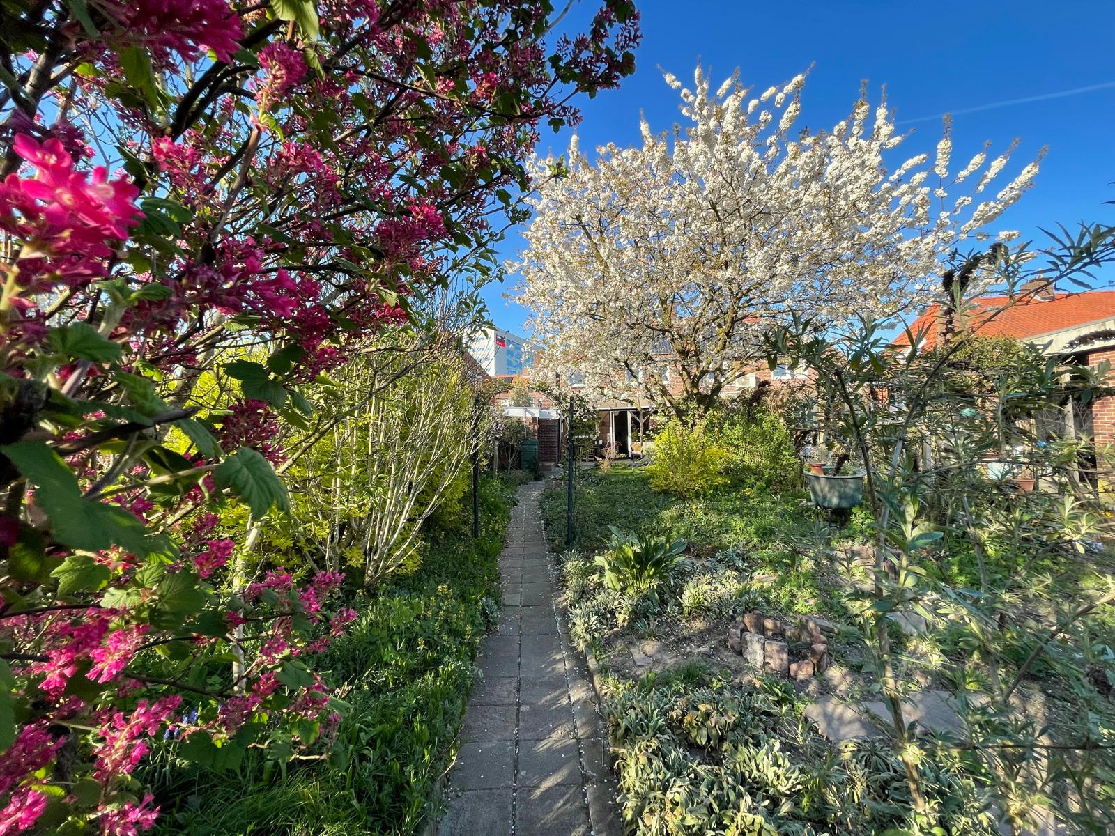 Foto 36 van Vindelsweg 17