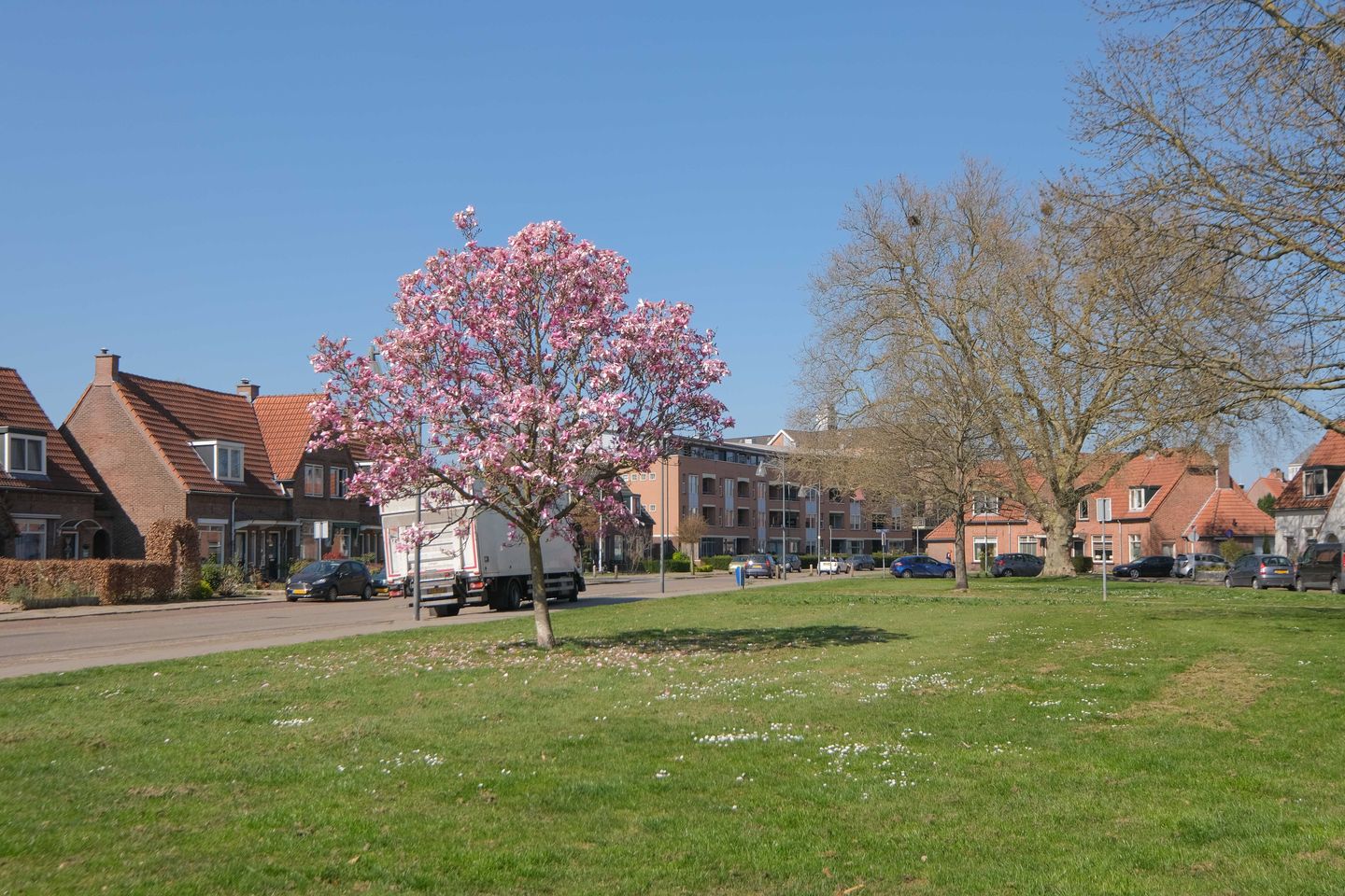 Foto 20 van Rietstraat 45