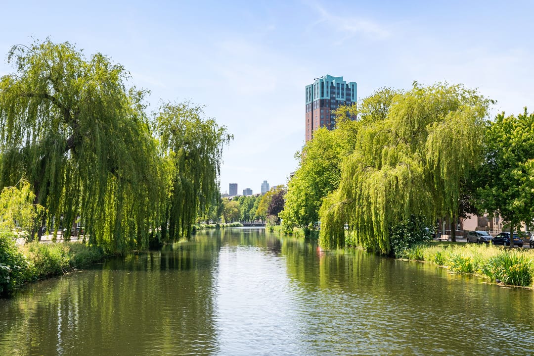 Foto 13 van Sophiakade 23