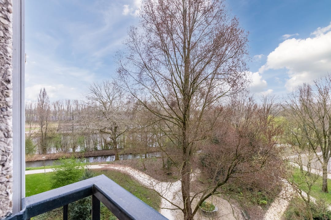 Foto 7 van Amerbos 62