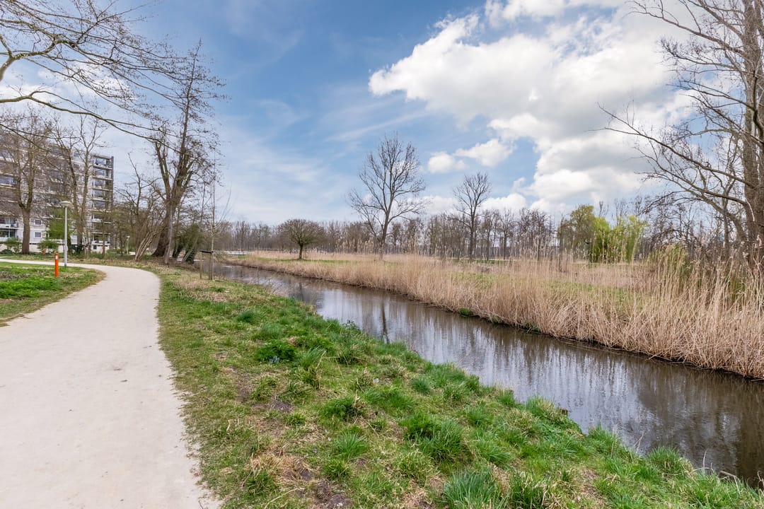 Foto 23 van Amerbos 62