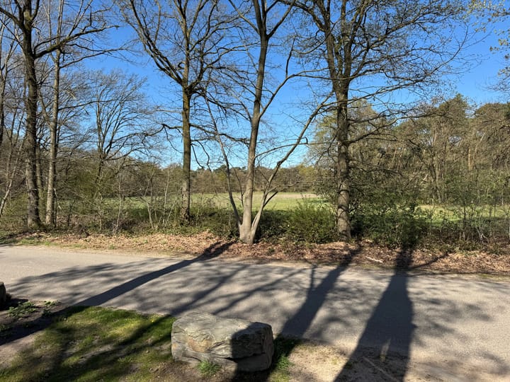 Foto 3 van Vossenheuvel 10-416