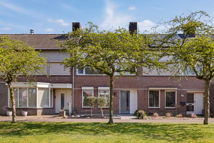 undefined main image