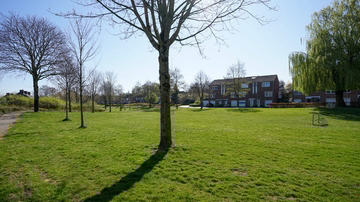 Foto 37 van Leemkoel 15