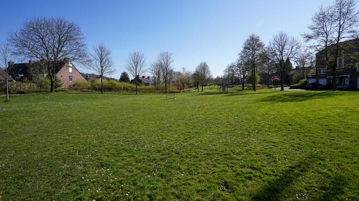 Foto 39 van Leemkoel 15