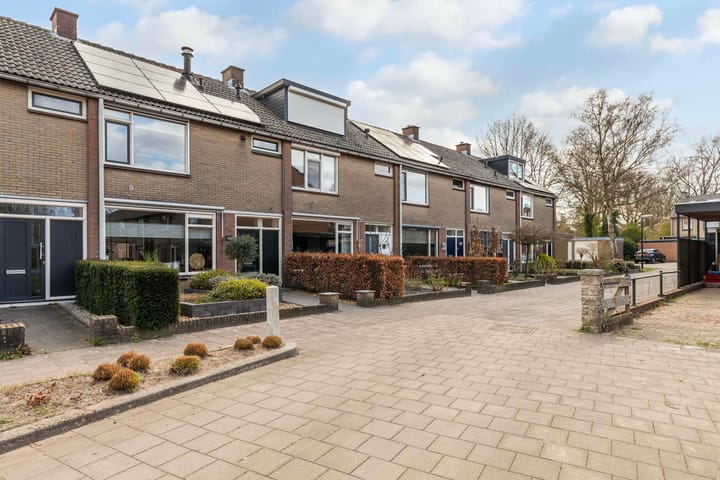 Foto 2 van Keizersmantel 46