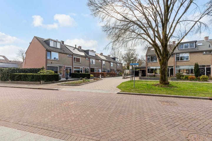 Foto 32 van Keizersmantel 46