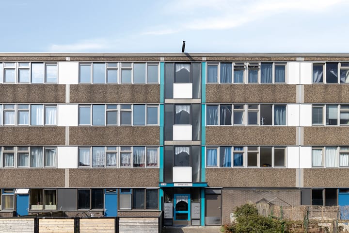 Foto 3 van Spinaker 163