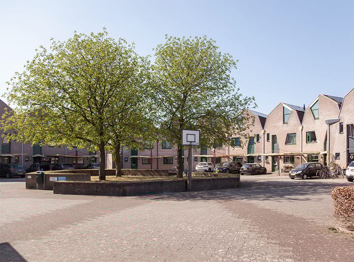 Foto 51 van Schapenweide 6