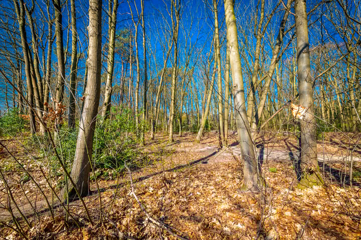 Foto 50 van Erasmuslaan 92