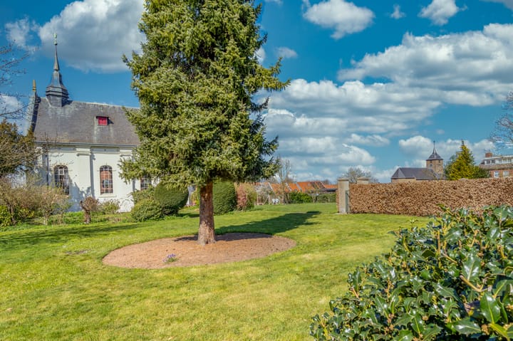 Foto 34 van Burg Strijkersstraat 18