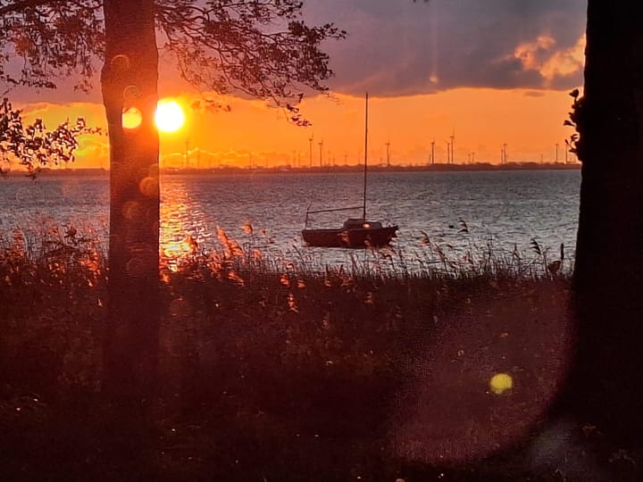 Foto 40 van Volendampad 11