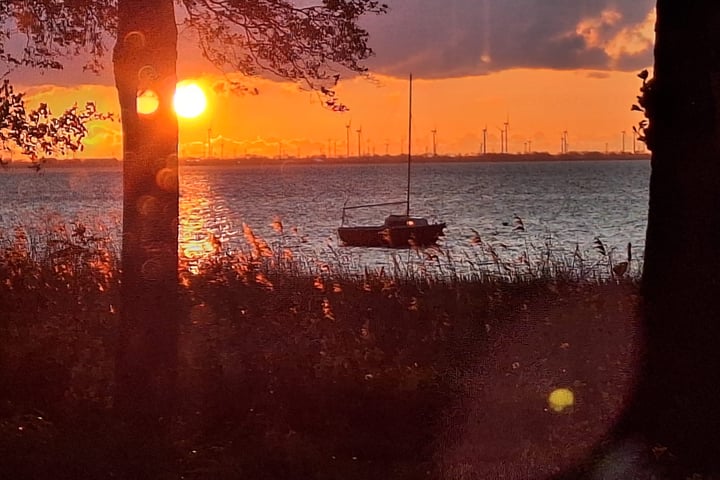 Foto 40 van Volendampad 11