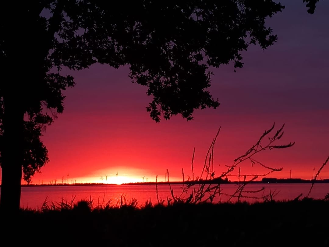 Foto 41 van Volendampad 11