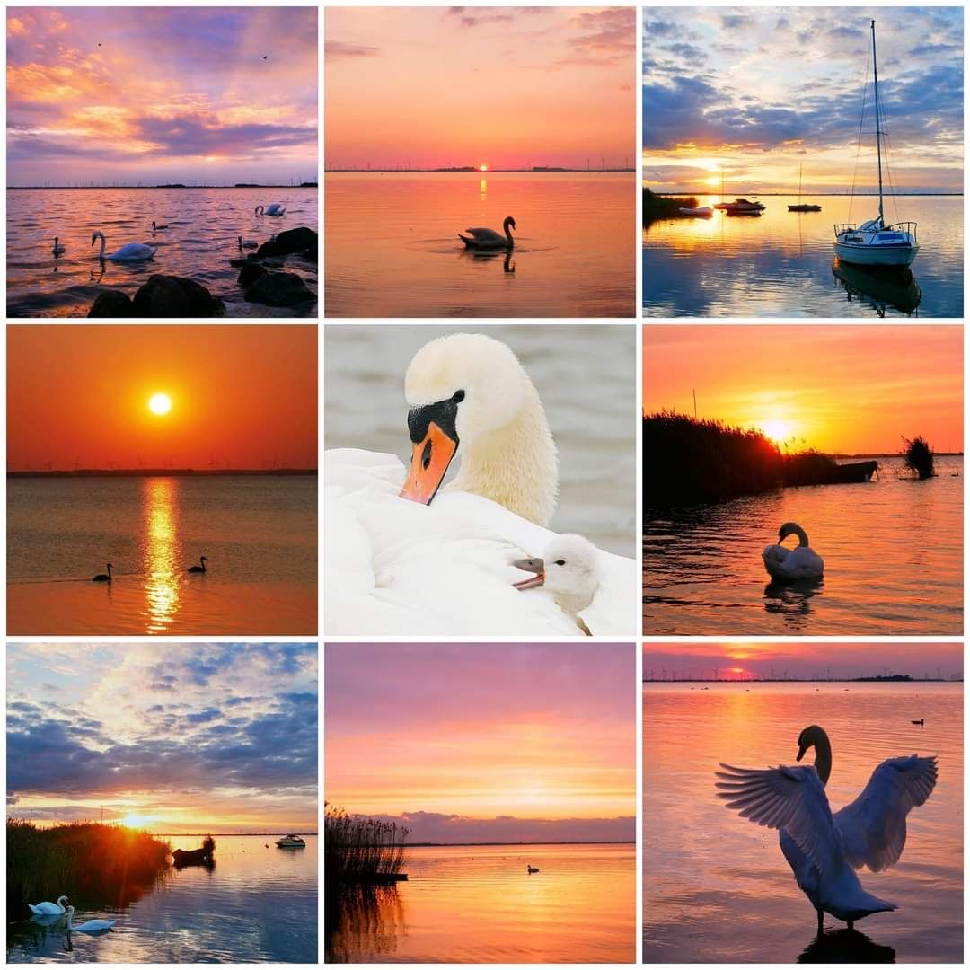 Foto 43 van Volendampad 11