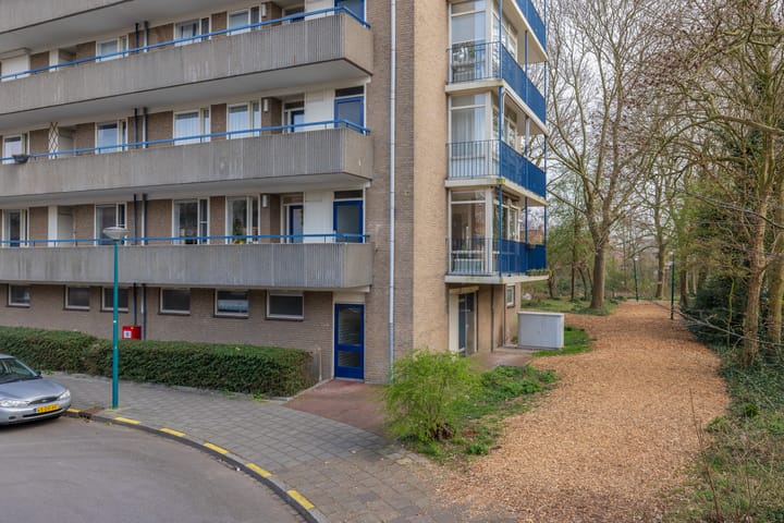 Foto 2 van Aert van Neslaan 148