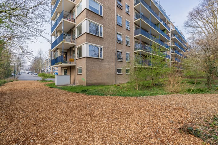 Foto 3 van Aert van Neslaan 148