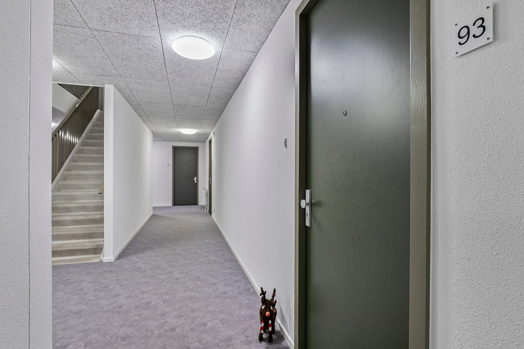 Foto 8 van Stekeldijk 93